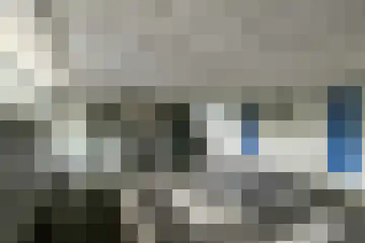 Orionsingel 310 Arnhem thumbnail 40