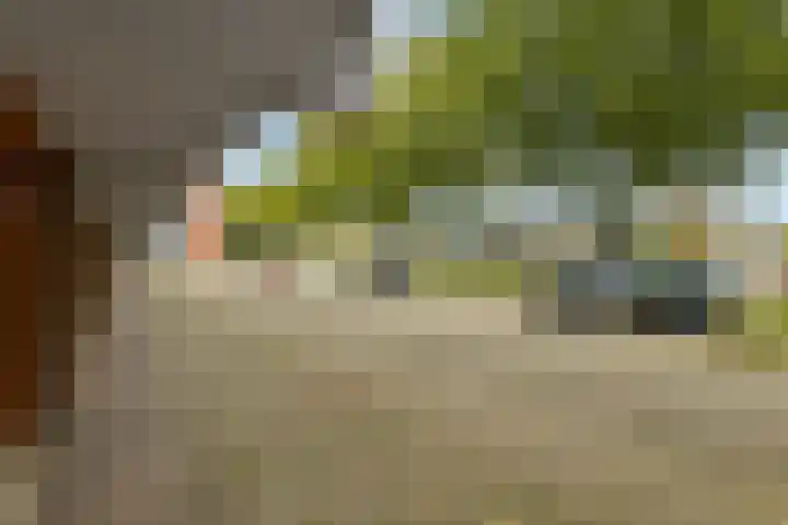 Orionsingel 310 Arnhem thumbnail 41