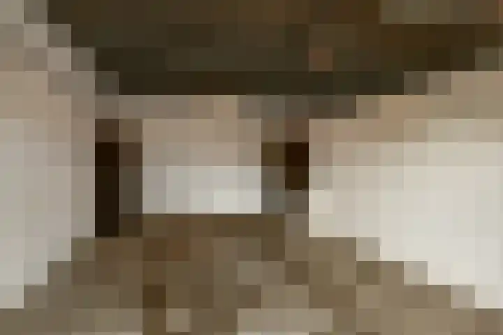 Orionsingel 310 Arnhem thumbnail 42