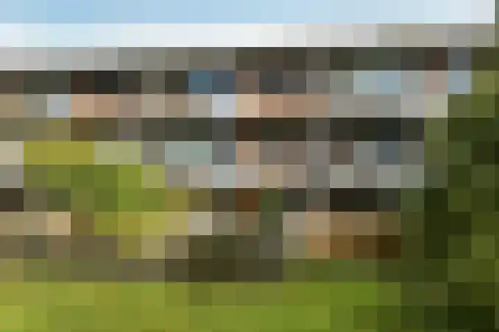 Orionsingel 310 Arnhem thumbnail 43