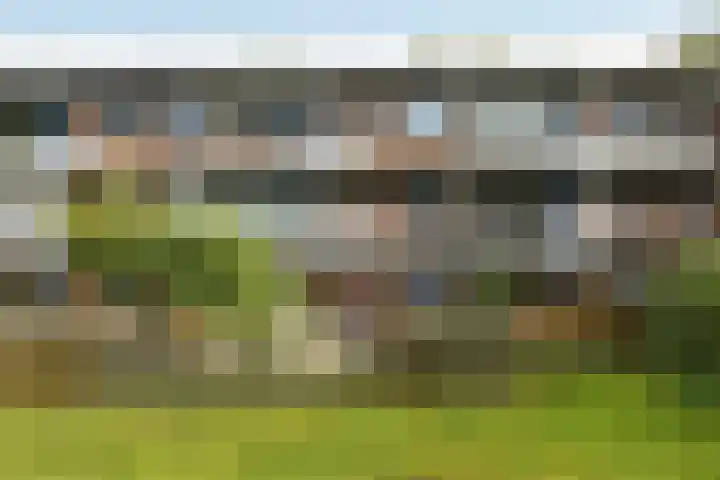 Orionsingel 310 Arnhem thumbnail 44