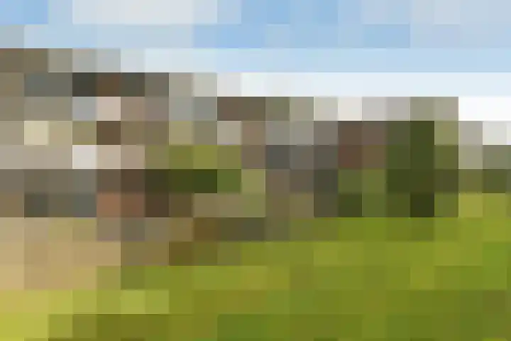 Orionsingel 310 Arnhem thumbnail 45