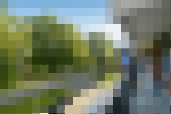 Orionsingel 310 Arnhem thumbnail 6