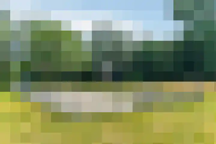 Orionsingel 316 Arnhem thumbnail 12