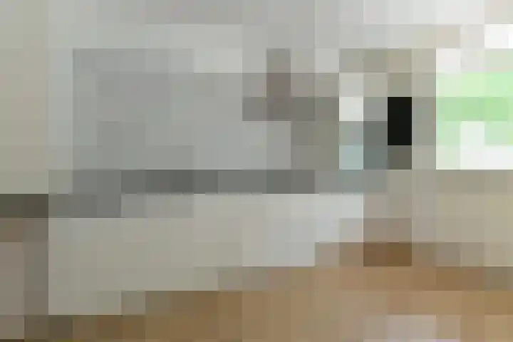 Orionsingel 316 Arnhem thumbnail 15