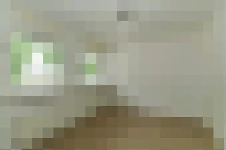 Orionsingel 316 Arnhem thumbnail 22