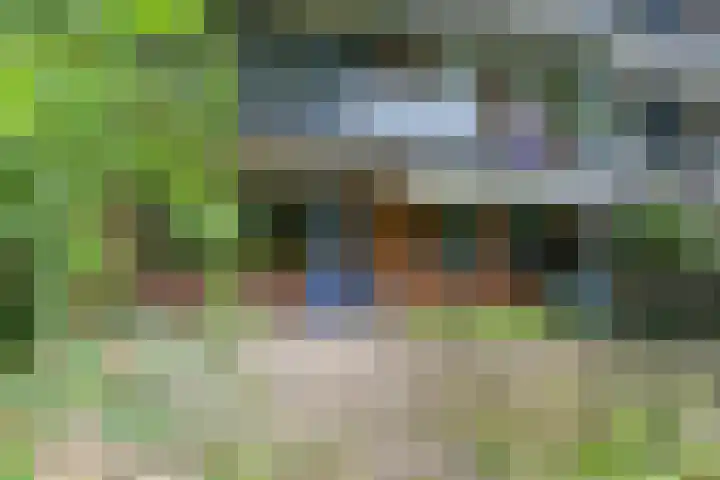 Orionsingel 316 Arnhem thumbnail 25