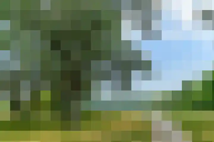 Orionsingel 316 Arnhem thumbnail 26