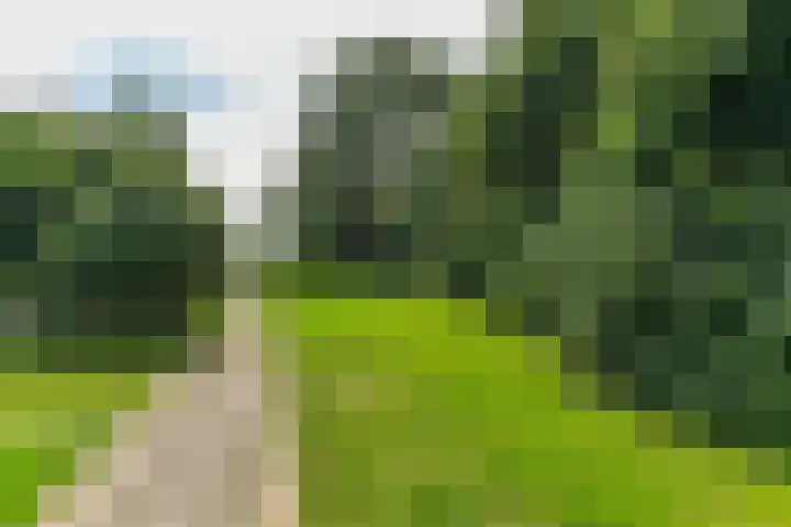 Orionsingel 316 Arnhem thumbnail 28