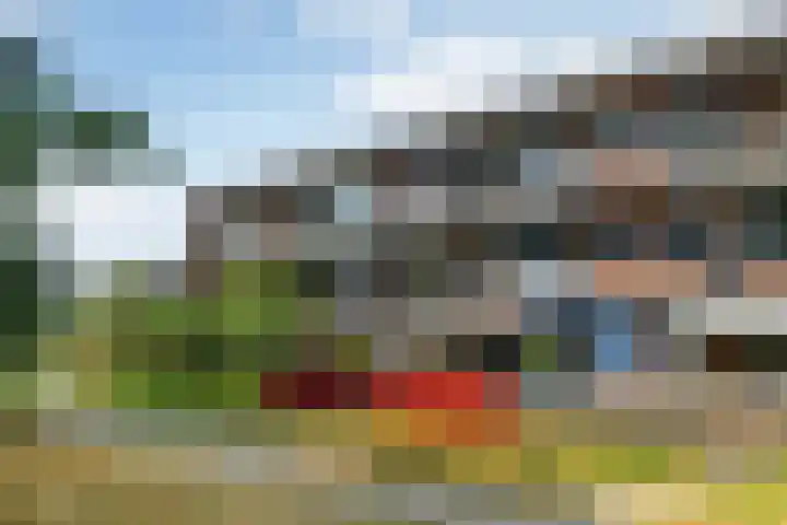 Orionsingel 316 Arnhem thumbnail 5