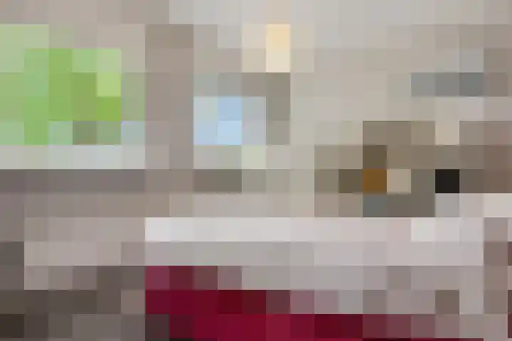 Orionsingel 320 Arnhem thumbnail 10