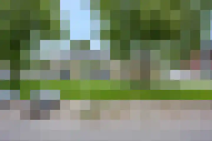 Orionsingel 320 Arnhem thumbnail 11