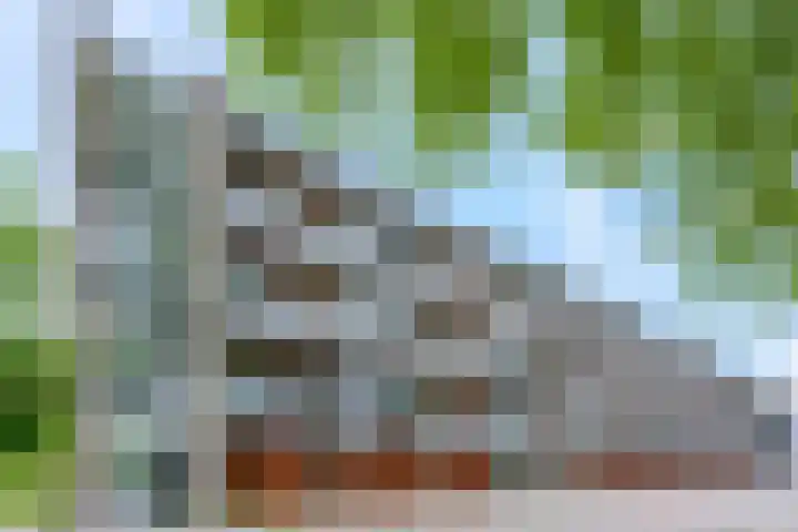 Orionsingel 320 Arnhem thumbnail 4