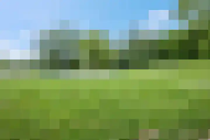Orionsingel 320 Arnhem thumbnail 40