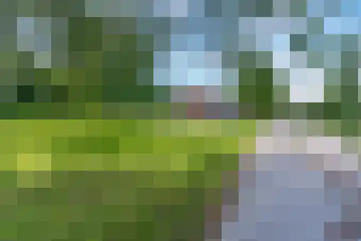 Orionsingel 320 Arnhem thumbnail 41