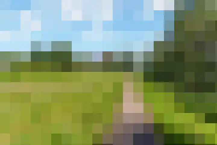 Orionsingel 320 Arnhem thumbnail 42