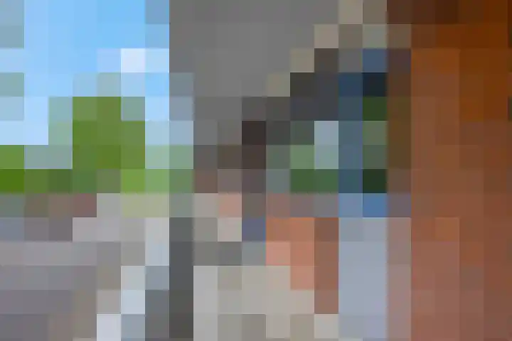 Orionsingel 320 Arnhem thumbnail 6