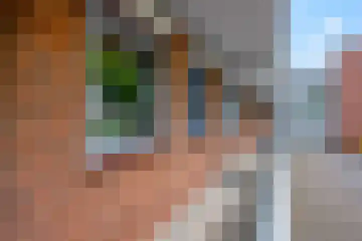 Orionsingel 320 Arnhem thumbnail 7