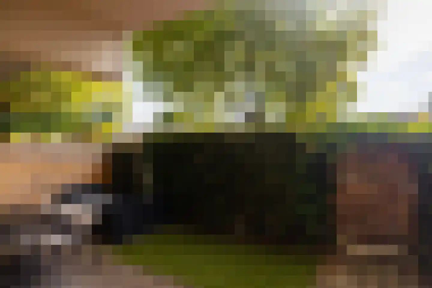 Orionsingel 56 Arnhem thumbnail 10