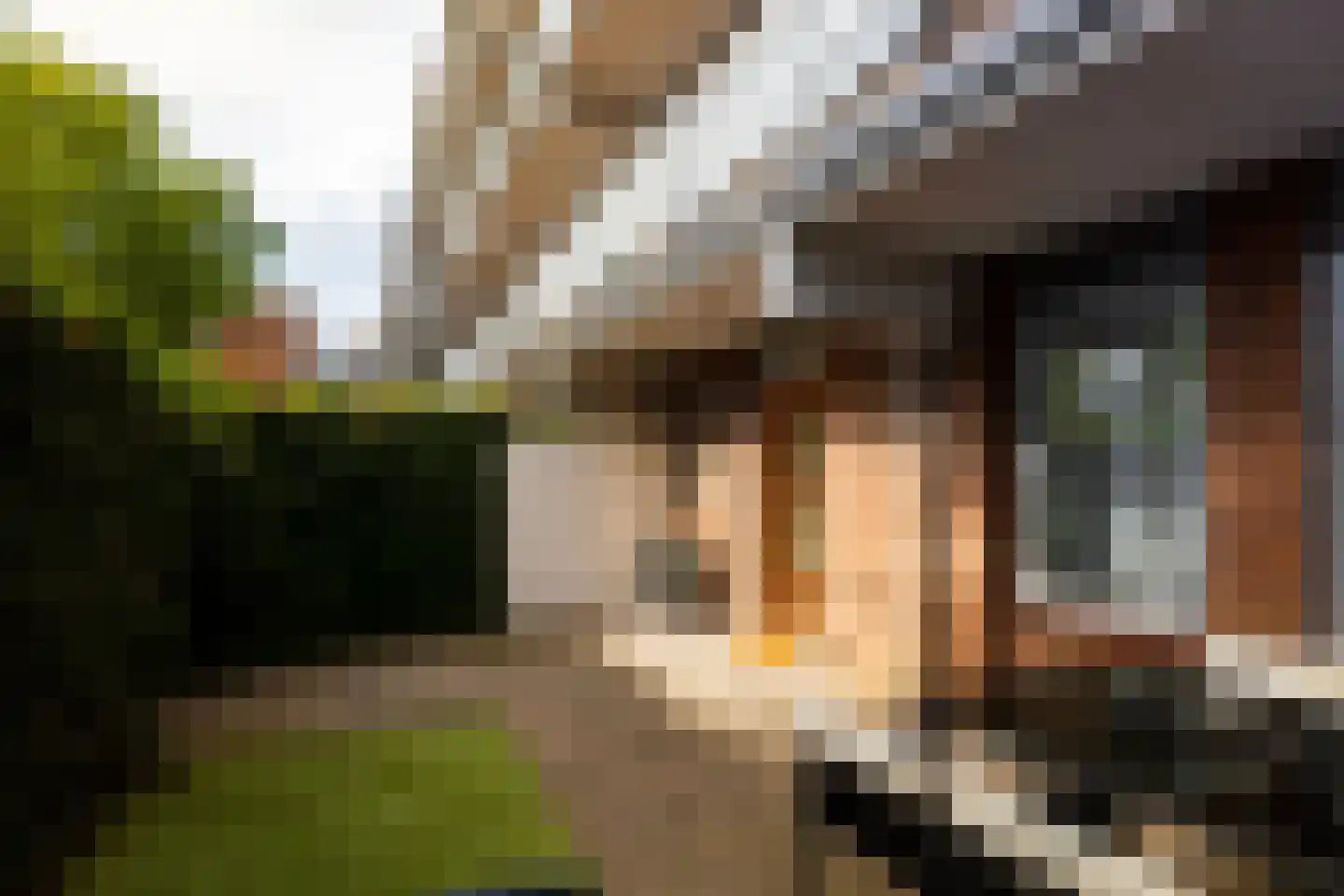 Orionsingel 56 Arnhem thumbnail 11