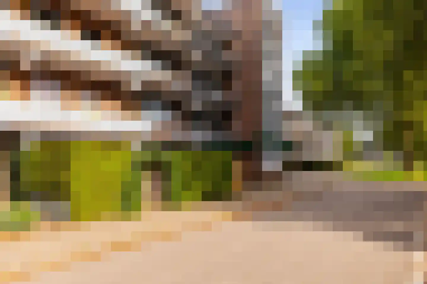 Orionsingel 56 Arnhem thumbnail 30