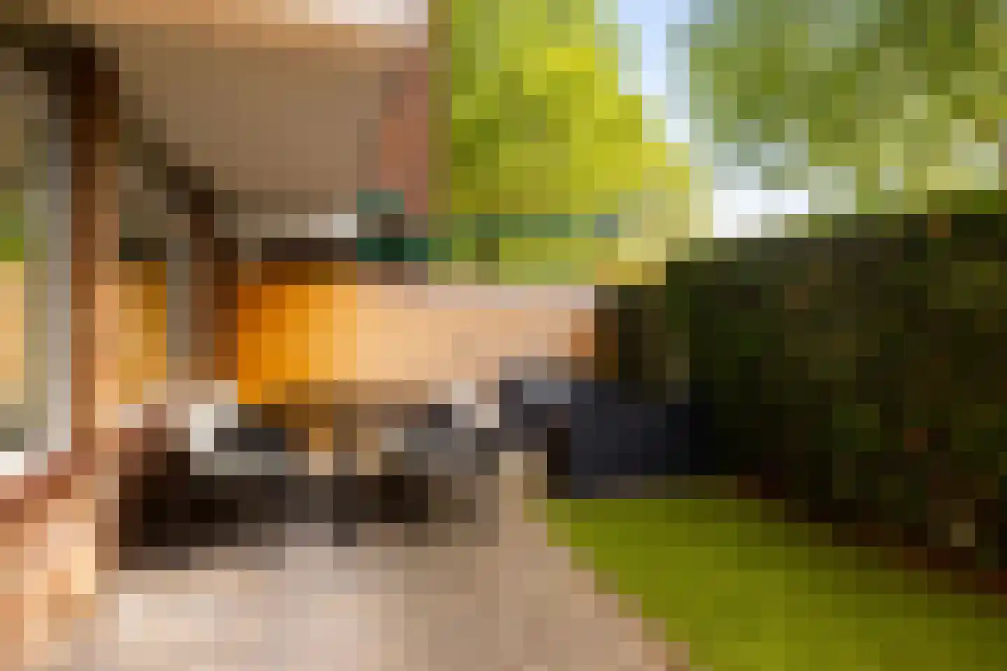 Orionsingel 56 Arnhem thumbnail 32