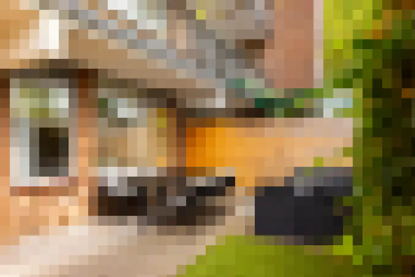 Orionsingel 56 Arnhem thumbnail 7