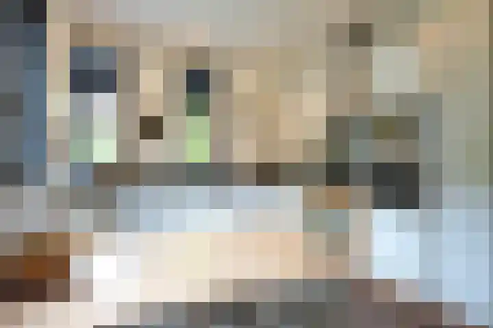 Orionsingel 6 Heerlen thumbnail 10