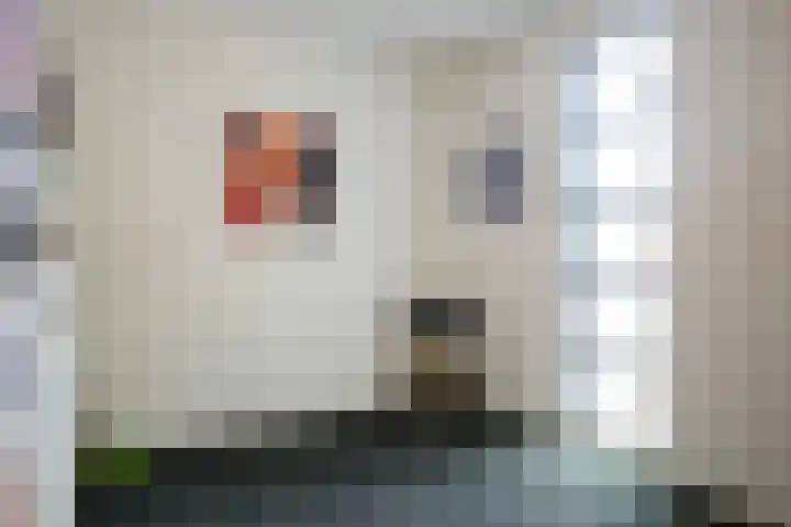 Orionsingel 6 Heerlen thumbnail 17