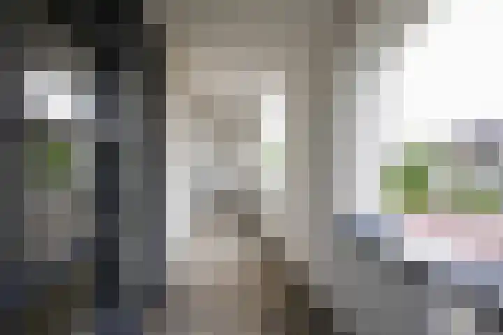 Orionsingel 6 Heerlen thumbnail 28