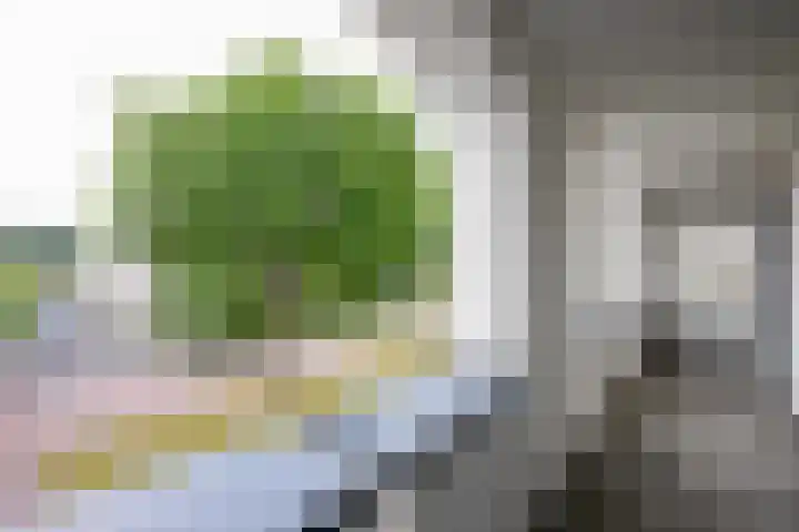 Orionsingel 6 Heerlen thumbnail 29