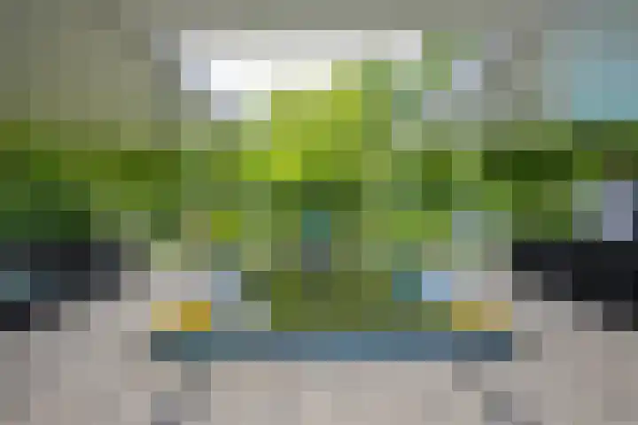 Orionsingel 6 Heerlen thumbnail 31