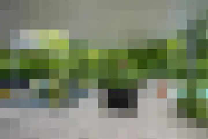 Orionsingel 6 Heerlen thumbnail 36