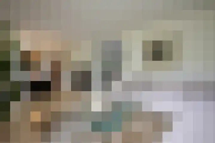 Orionsingel 6 Heerlen thumbnail 5
