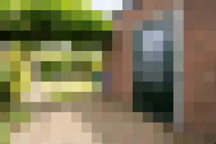 Orionstraat 12 Borne thumbnail 4