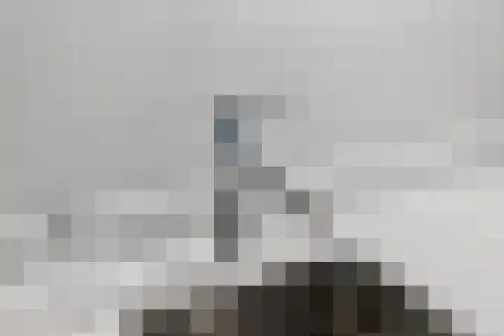 Orionstraat 127 Eindhoven thumbnail 14