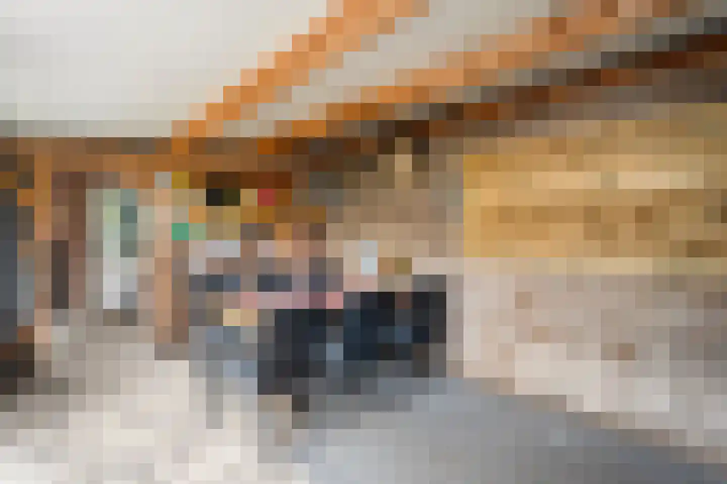 Orionstraat 23 De Krim thumbnail 38