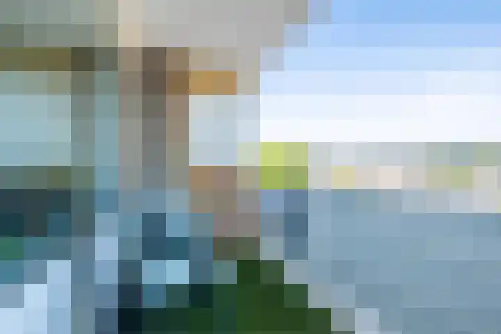 Orionstraat 27 Eindhoven thumbnail 11