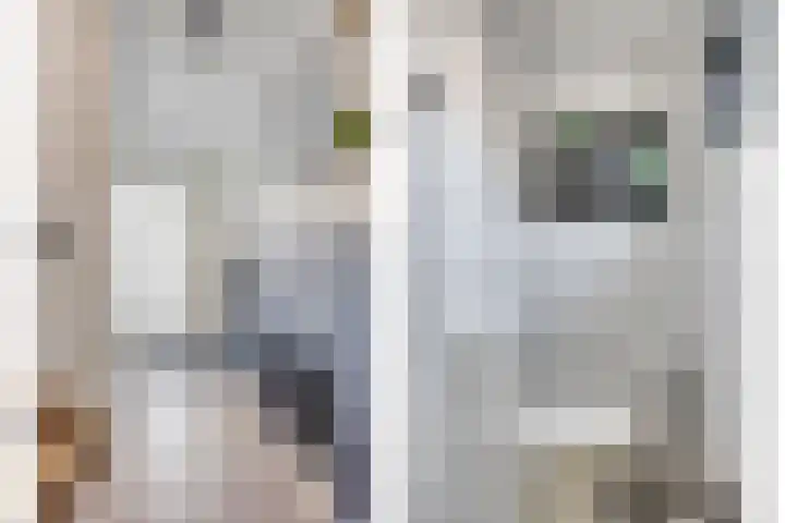 Orionstraat 3 Dongen thumbnail 13
