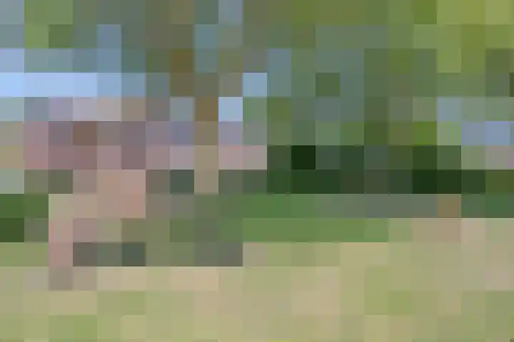 Orionstraat 3 Dongen thumbnail 42