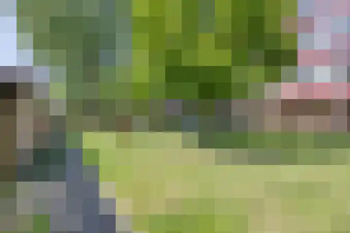 Orionstraat 3 Dongen thumbnail 43