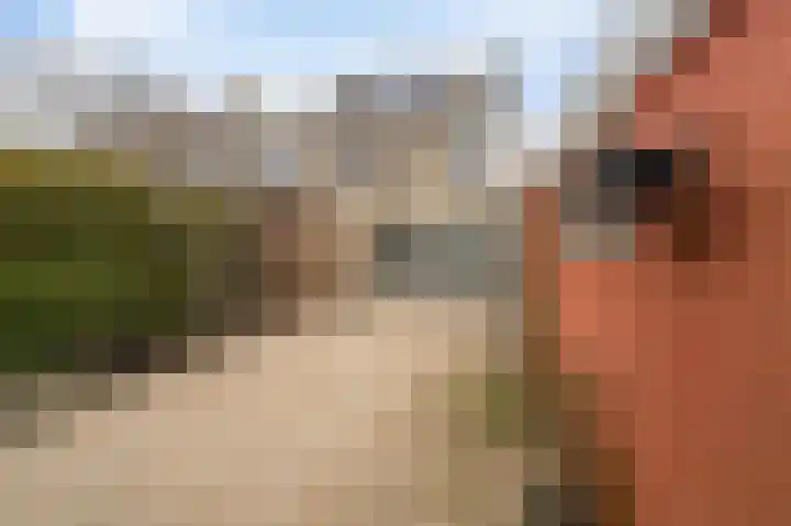 Orionstraat 36 Emmeloord thumbnail 5