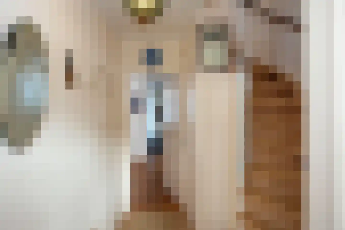 Orionstraat 4 Borne thumbnail 5