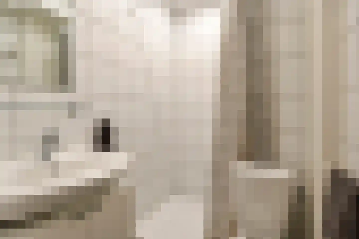 Orionstraat 43 Eindhoven thumbnail 15