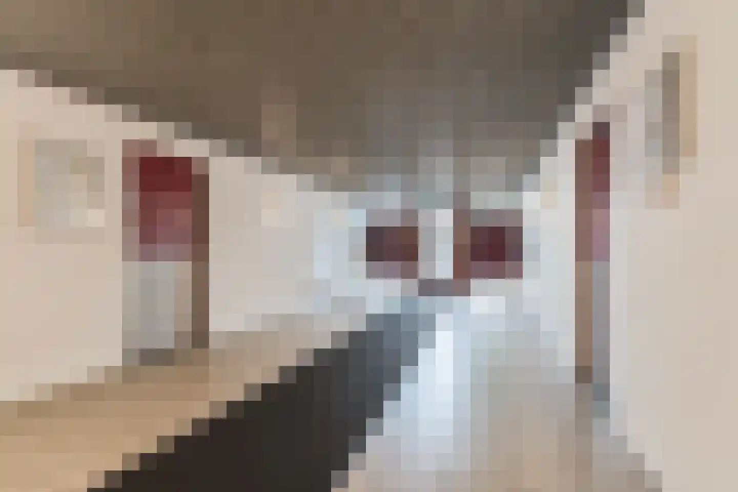 Orionstraat 45 Eindhoven thumbnail 30