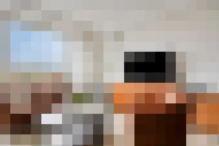 Orionstraat 57 Eindhoven thumbnail 21