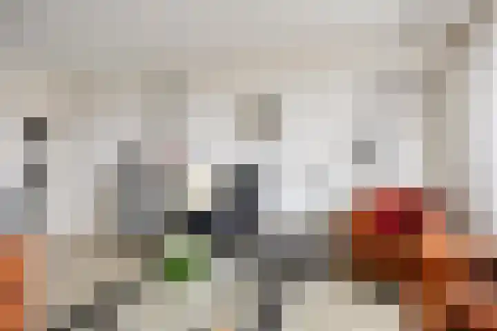 Orionstraat 57 Eindhoven thumbnail 22