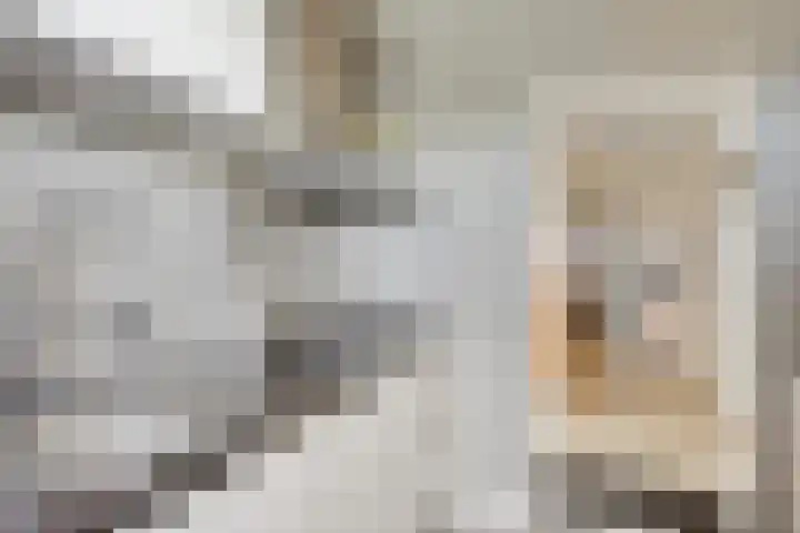 Orionstraat 57 Eindhoven thumbnail 25