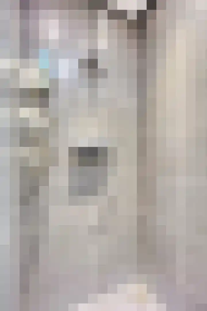 Orionstraat 57 Eindhoven thumbnail 31
