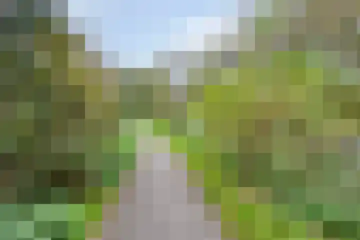 Orionstraat 57 Eindhoven thumbnail 38